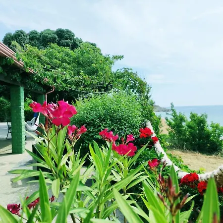 Holiday home Ippocampo Holiday *