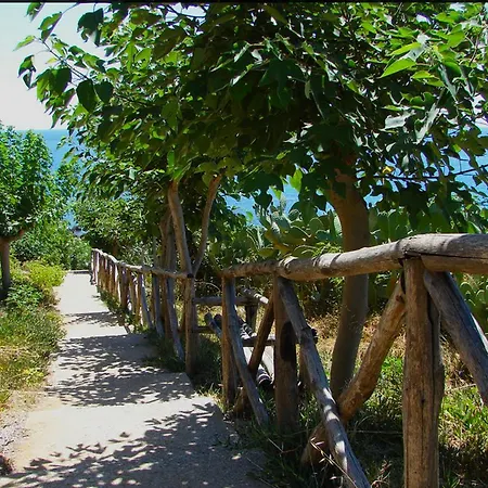 Ippocampo Holiday